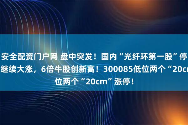 安全配资门户网 盘中突发！国内“光纤环第一股”停牌核查后继续大涨，6倍牛股创新高！300085低位两个“20cm”涨停！