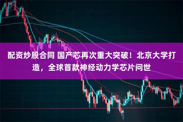 配资炒股合同 国产芯再次重大突破！北京大学打造，全球首款神经动力学芯片问世